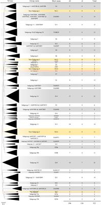 Genome-wide analysis of R2R3-MYB genes in cultivated peanut (Arachis hypogaea L.): Gene duplications, functional conservation, and diversification